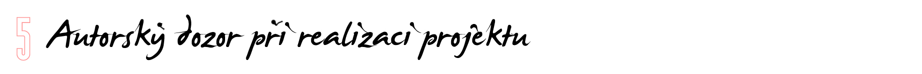 5_autorsky dozor